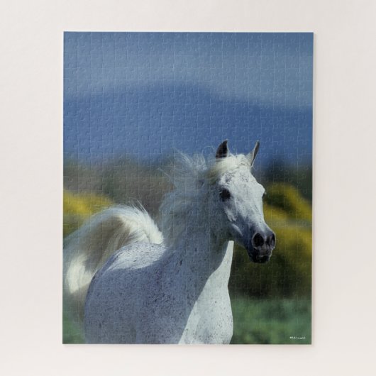 ボブラングリシュ |グレーアラブのヘッドショット ジグソーパズル (縦)