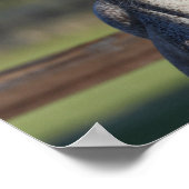 ボブラングリシュ |グレーアラブのヘッドショット ポスター (角)