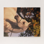 ボブラングリシュ |グレーアラブスタリオンヘッドショット4 ジグソーパズル (横)