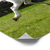 ボブラングリシュ |グレーアラブランニングスタリオン ポスター (角)