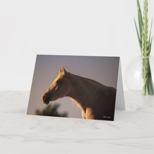 ボブラングリシュ |グレーアラブ人が後ろ向きに立つヘッドショット カード (正面)