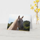 ボブラングリシュ |グレーアラブ系スタリオンのヘッドショットバックライト カード (黄色い花)