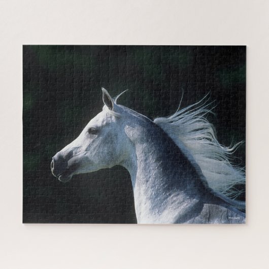 ボブラングリシュ |グレーアラブ首長国連邦3 ジグソーパズル (横)