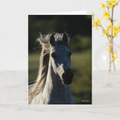 ボブラングリシュ |グレーアンダルシアンヘッドショットバックライト カード (黄色い花)