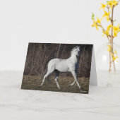 ボブラングリシュ |グレーアンダルチアンスタリオン歩く カード (黄色い花)