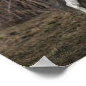 ボブラングリシュ |グレーアンダルチアンスタリオン歩く ポスター (角)