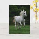 ボブラングリシュ |グレーランニングアラブのマネが流れる カード (黄色い花)