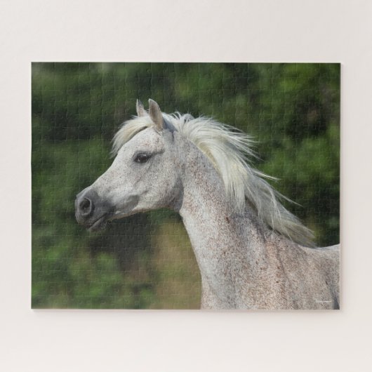 ボブラングリシュ |グレー・アラブ首章 ジグソーパズル (横)