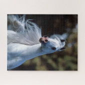 ボブラングリシュ |グレー・アラブ・スタリオン・ヘッドショット ジグソーパズル (横)