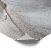 ボブラングリシュ |グレー・アラブ・スタリオン・ヘッドショット ポスター (角)