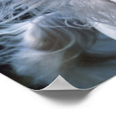 ボブラングリシュ |グレー・アラブ・スタリオン・ヘッドショット ポスター (角)