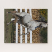 ボブラングリシュ |グレー・アンダルシアン・スタリオン飼育 ジグソーパズル (横)