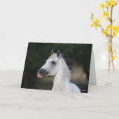 ボブラングリシュ |グレー・アンダルシアン・スタリオン・ヘッドショット6 カード (黄色い花)