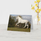 ボブラングリシュ |グレー・アンダルシアン・スタリオン・リーピング カード (黄色い花)