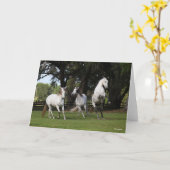 ボブラングリシュ |グレー・アンダルシア人3人が飛び上がる カード (黄色い花)