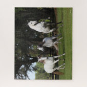 ボブラングリシュ |グレー・アンダルシア人3人が飛び上がる ジグソーパズル (縦)