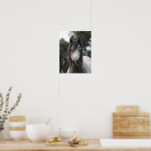 ボブラングリシュ |グレー・ウェルシュ・ポニー・ヘッドショット ポスター (キッチン)