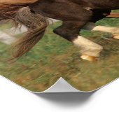 ボブラングリシュ |サラブレッドとシェトランドポニー ポスター (角)