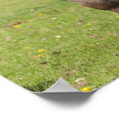 ボブラングリシュ |シェトランドポニー立ち ポスター (角)