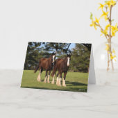 ボブラングリシュ |シャイアの若者2人が立つ カード (黄色い花)