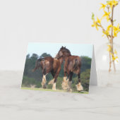 ボブラングリシュ |シャイア・ウーランニングズ・の背面 カード (黄色い花)