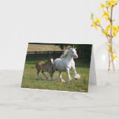 ボブラングリシュ |ジプシーバンナーホースマーレ&フォール カード (黄色い花)