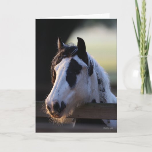 ボブラングリシュ |ジプシー・バナーが柵を見渡す カード (正面)