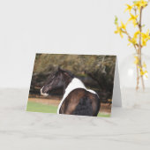 ボブラングリシュ |ジプシー・バナー・ヘッドショット カード (黄色い花)