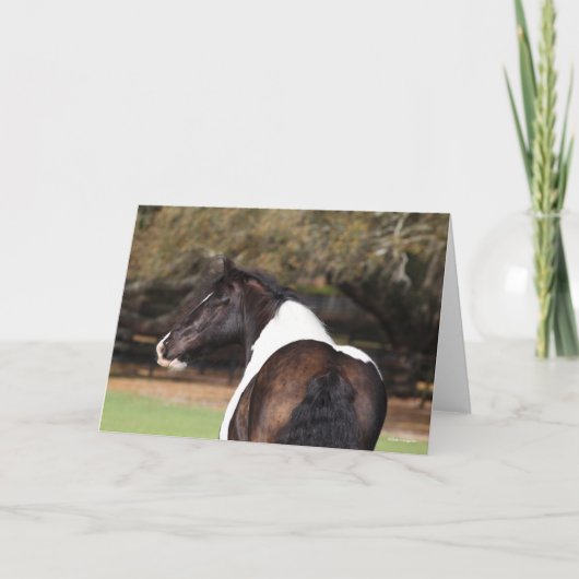 ボブラングリシュ |ジプシー・バナー・ヘッドショット カード (正面)