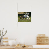 ボブラングリシュ |ジプシー・バンナー・ホース・マーレ&フォール ポスター (キッチン)