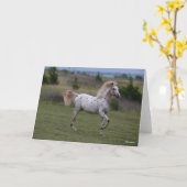 ボブラングリシュ |スポッティ・ポニー・オブ・アメリカ カード (黄色い花)