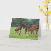 ボブラングリシュ |スポーツ・ホース・フォ遊ールズ カード (黄色い花)