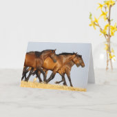 ボブラングリシュ |スリーアンダルシアンマレランニングス カード (黄色い花)