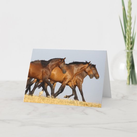 ボブラングリシュ |スリーアンダルシアンマレランニングス カード (正面)