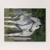 ボブラングリシュ |ダップルグレーの四分の一馬立ち ジグソーパズル (横)