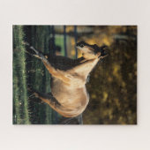 ボブラングリシュ |ダンクォーターホースランニングズ ジグソーパズル (横)