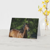 ボブラングリシュ |ダークベイクォーターホースヘッドショット カード (黄色い花)