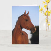 ボブラングリシュ |チェストナット・アラブの岬 カード (黄色い花)