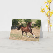 ボブラングリシュ |チェストナット・アラブ・スタランニングリオン・3 カード (黄色い花)