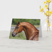 ボブラングリシュ |チェストナット・アラブ・スタリオンの頭 カード (黄色い花)