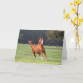 ボブラングリシュ |チェストナット・オルデンバランニングーグズ カード (黄色い花)