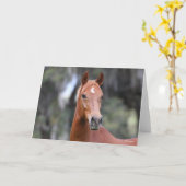 ボブラングリシュ |チェストナット・オルデンブルグ岬 カード (黄色い花)