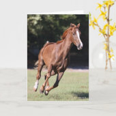 ボブラングリシュ |チェストナット・テネシー・ウォーカー・ランニングズ カード (黄色い花)