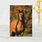 ボブラングリシュ |チョクタウポニースタンディングヘッドショット カード (黄色い花)