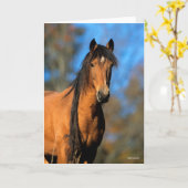 ボブラングリシュ |チョクターポニーヘッドショット カード (黄色い花)