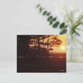 ボブラングリシュ |チンコテハーグの夕日 ポストカード (スタンド正面)