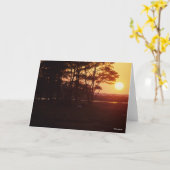 ボブラングリシュ |チンコテーググレージングサンセット カード (黄色い花)