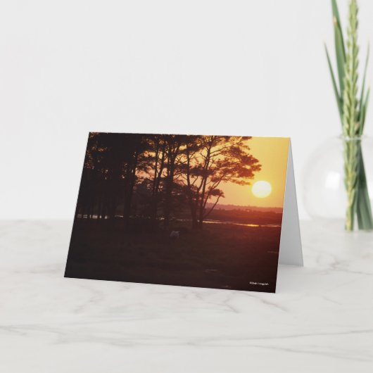 ボブラングリシュ |チンコテーググレージングサンセット カード (正面)