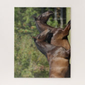 ボブラングリシュ |ツーブラウンアンドアルシアンホランニングーズ ジグソーパズル (縦)