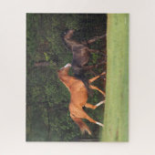 ボブラングリシュ |ドイツのライディングポニーとオルデンブルク ジグソーパズル (縦)